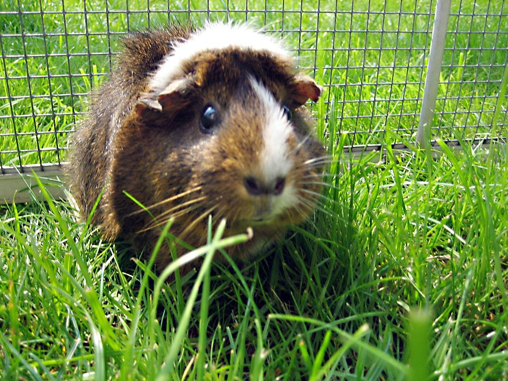 Wilma